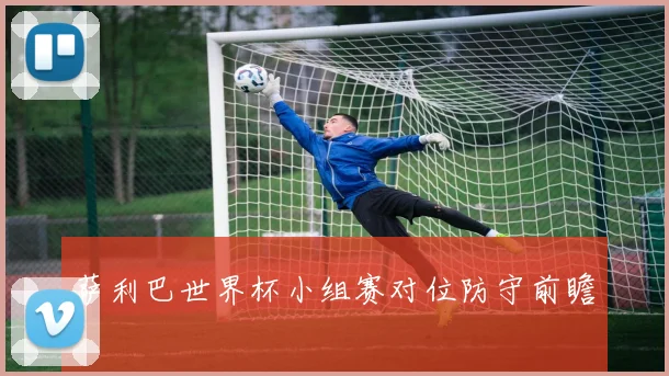 萨利巴世界杯小组赛对位防守前瞻