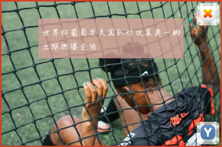 世界杯葡萄牙美国队对攻莱奥一脚出球燃爆全场