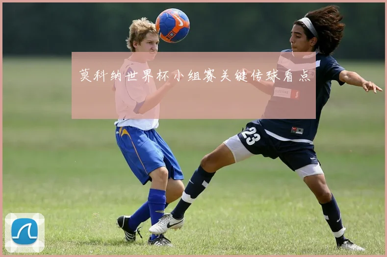 莫科纳世界杯小组赛关键传球看点