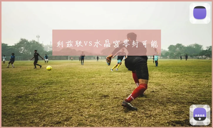 利兹联vs水晶宫零封可能