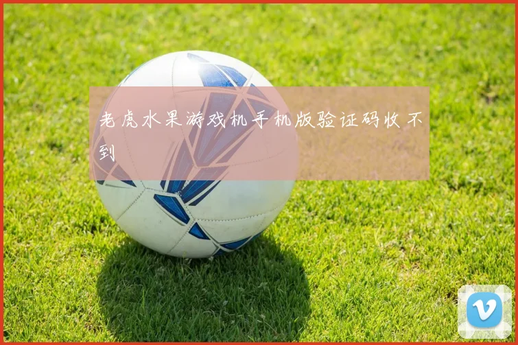 老虎水果游戏机手机版验证码收不到
